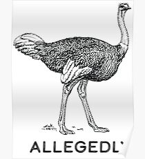 Allegedly Poster