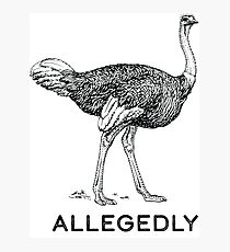 Allegedly Photographic Print