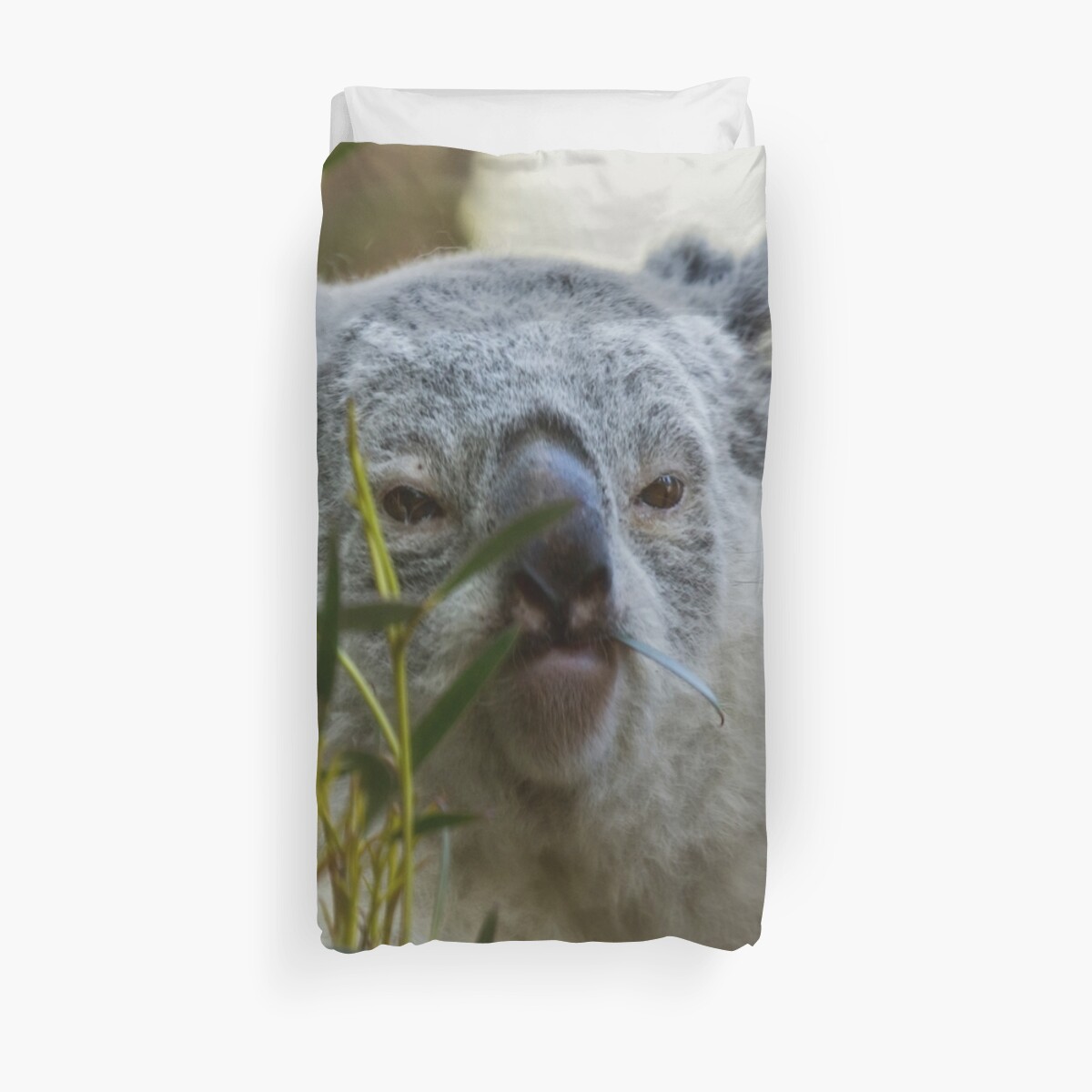 "Koala bear" Duvet Cover by LuciaS Redbubble