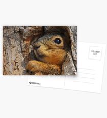 Hello Postcards