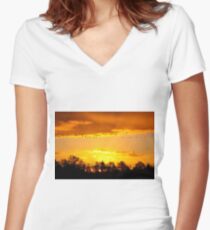 A Flock of Geese in A Golden Sky Women's Fitted V-Neck T-Shirt