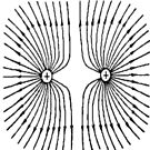 #blackandwhite #plant #circle #leaf #lineart #symmetry #monochrome #nature #design #illustration #fashion #pattern #inarow #photography #separation #nopeople #striped #cutout #square #nonurbanscene by znamenski