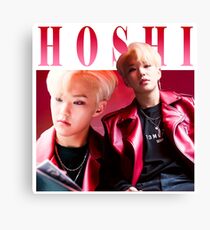 Hoshi Canvas Print