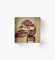 Bonsai Acrylic Block