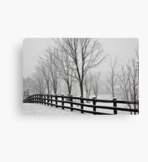 Fence Canvas Print