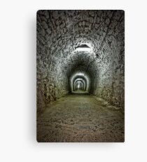endless Canvas Print