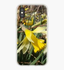 Field Of Daffies iPhone Case