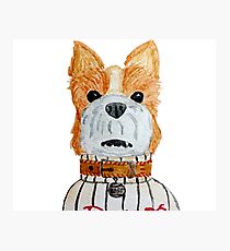Isle of dogs - BOSS Photographic Print