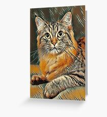 American Bobtail Cat Greeting Card