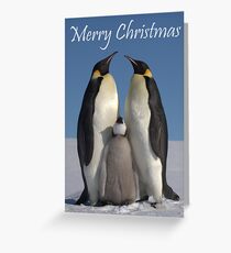 Emperor Penguins 1 - Merry Christmas Card Greeting Card