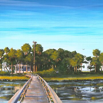 Pair-o-dice Island  Beaufort SC USA Art Print for Sale by Matthew  Campbell