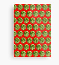 Sprouts Sprouts Sprouts! Metal Print