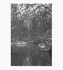 Landscape #6 Photographic Print