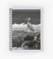 Heron Spiral Notebook
