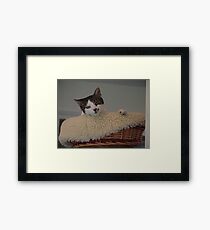 Precious Framed Print