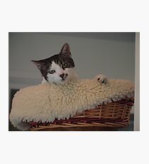 Precious Photographic Print
