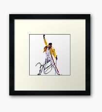 Freddie Framed Print