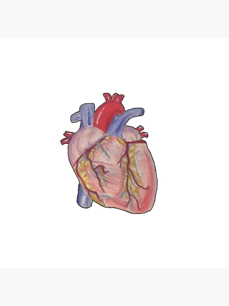 Realistic Heart Art Board Print By Sarhajoan Redbubble