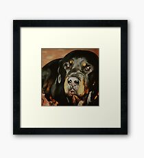 Dogs Lover Rottweiler Pet Portrait Framed Print