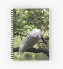 G'Day Sexy Spiral Notebook