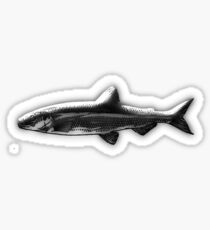 fish Sticker