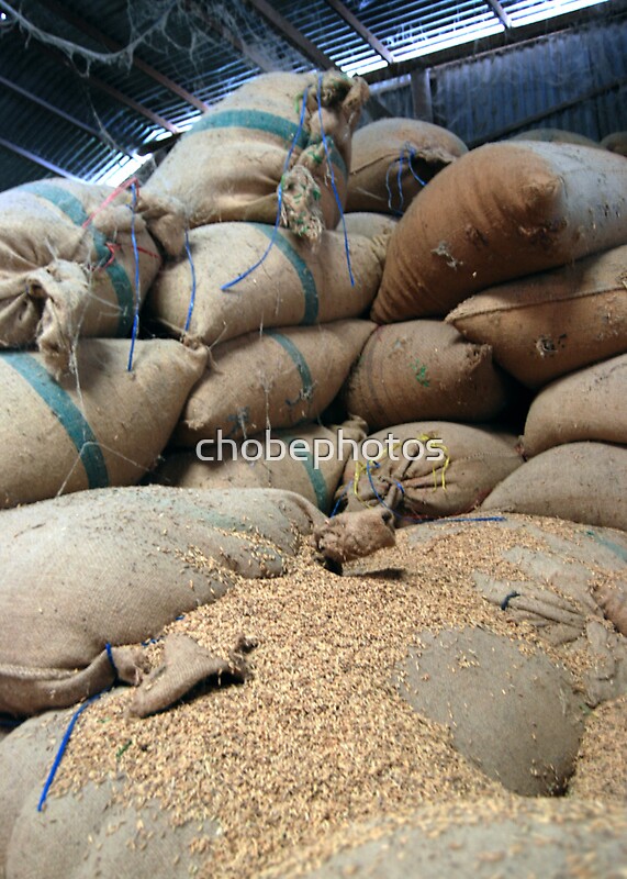 rice mill vietnam rice mill vietnam