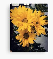 Bloom Canvas Print