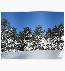 Winter Scene Poster