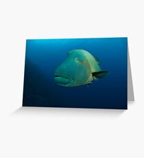 A divers best friend Greeting Card