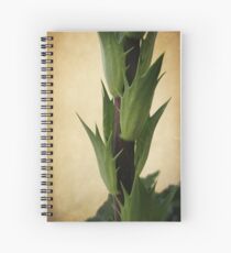 Reaching for the Sky Spiral Notebook