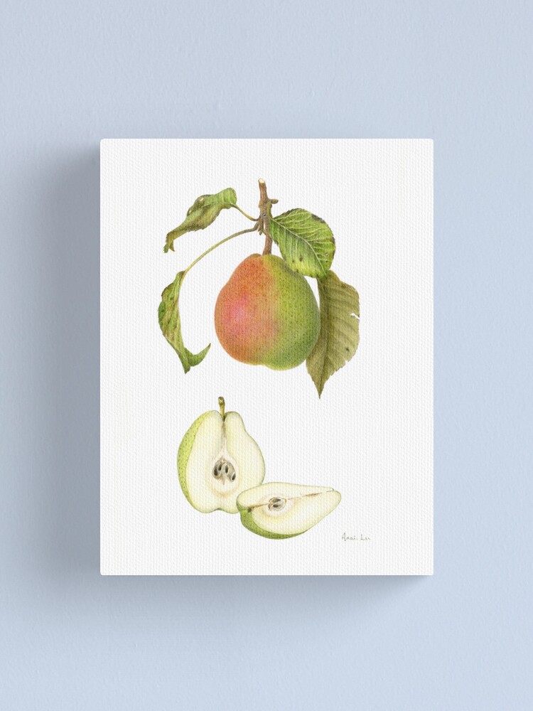 Alternate view of Forelle Pear Canvas Print
