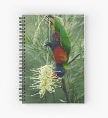 Rainbow Lorikeet Spiral Notebook