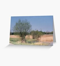 willow Greeting Card