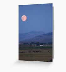 Blue Mountain Blessings Greeting Card