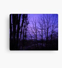 December evening. Canvas Print