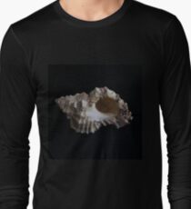 caribbean seashine Long Sleeve T-Shirt