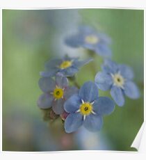 Baby Blues Poster
