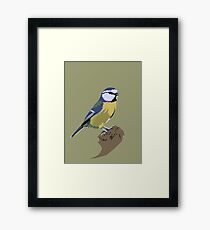 Blue Tit Framed Print