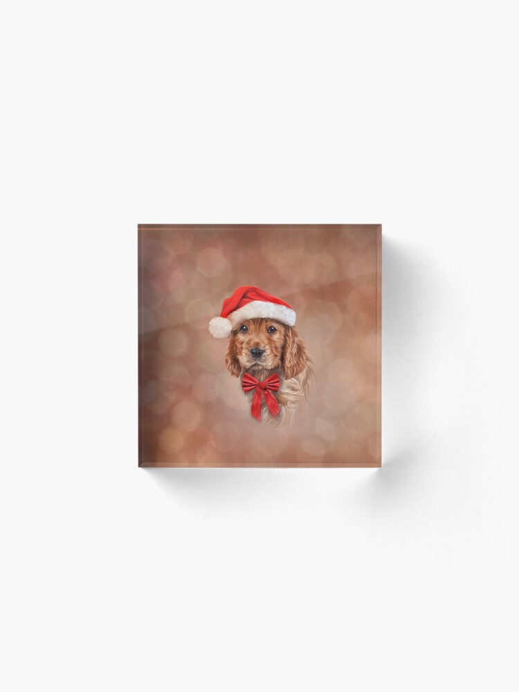 Drawing Dog English Cocker Spaniel In Red Hat Of Santa Claus