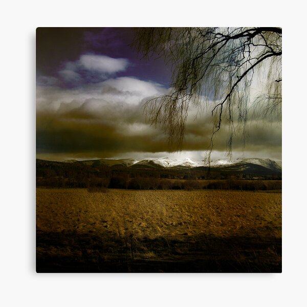 Cairngorm Canvas Print