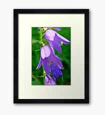 Macro Flowers Framed Print