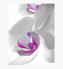 Tranquility Photographic Print