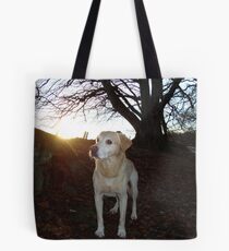 brig Tote Bag