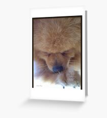 "Do Not Disturb" Greeting Card