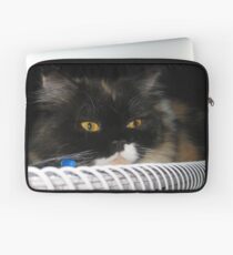 Cat Wanna Study Laptop Sleeve