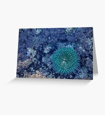 sea anemone Greeting Card