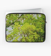 Maple tree blossoms 2 Laptop Sleeve