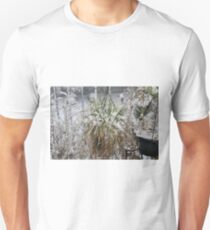 #plant #grassfamily #flower #nature #outdoors #grass #environment #winter #leaf #wood #season #horizontal #colorimage #nopeople #nonurbanscene #singleflower #day Unisex T-Shirt
