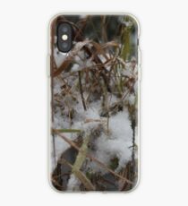 #winter #nature #snow #frost #outdoors #icee #cold #wood #season #bird #tree #frozen #dry #garden #grass #weather #horizontal #colorimage #nopeople #closeup #plant #day #animal iPhone Case