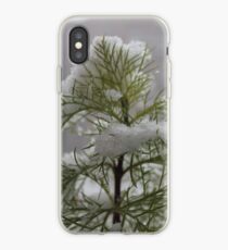 #winter #nature #snow #frost #outdoors #icee #cold #wood #season #bird #tree #frozen #dry #garden #grass #weather #horizontal #colorimage #nopeople #closeup #plant #day #animal iPhone Case